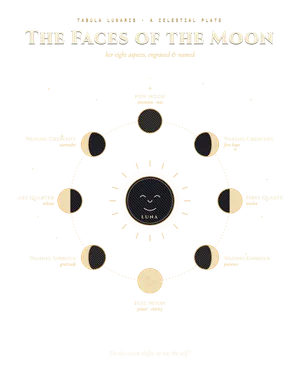 Moon Phases T-Shirt